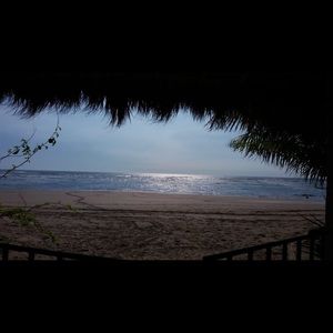 Meet your Posher, Sonia